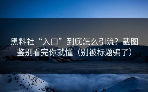 黑料社“入口”到底怎么引流？截图鉴别看完你就懂（别被标题骗了）
