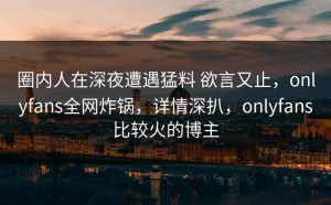 圈内人在深夜遭遇猛料 欲言又止，onlyfans全网炸锅，详情深扒，onlyfans比较火的博主